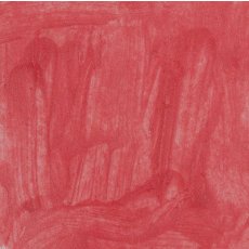 LS 206