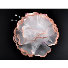 CH6-008-C